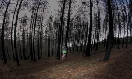 Me estoy echando al monte