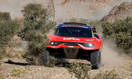 Sainz y Loeb se quedan solos en el Dakar