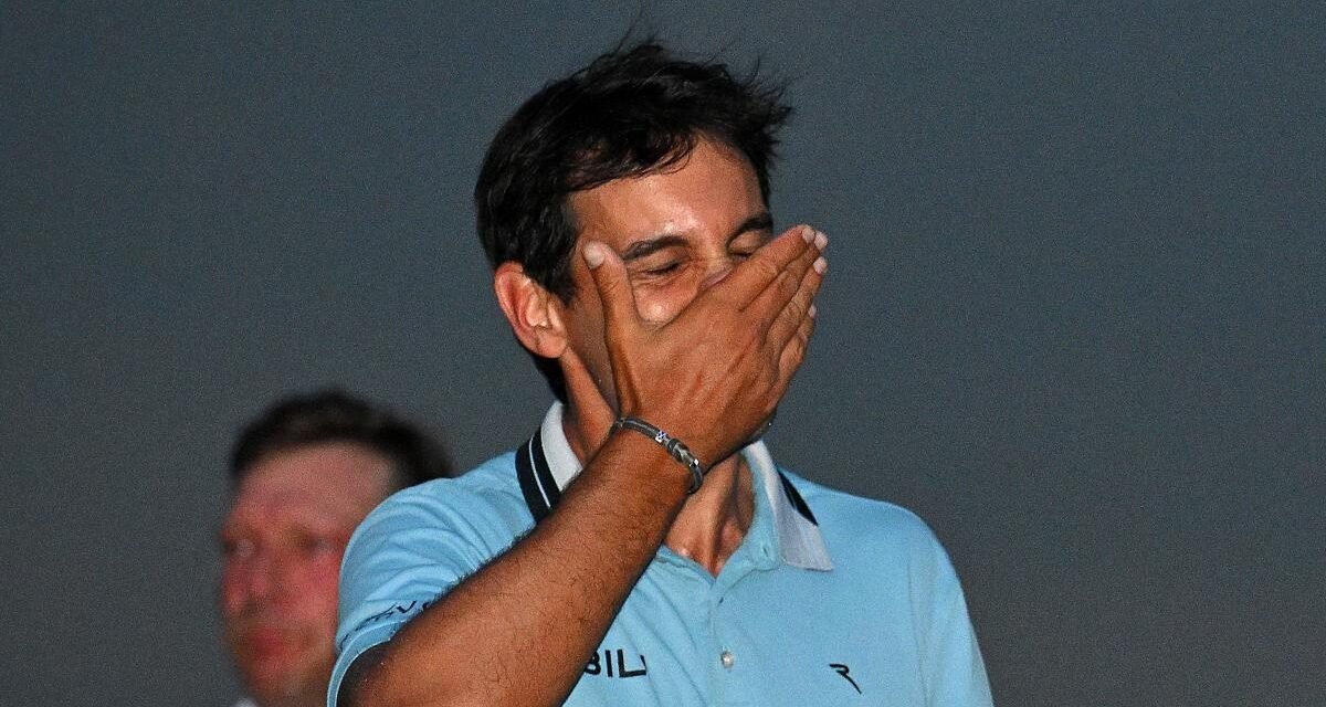 Ave fénix Manassero