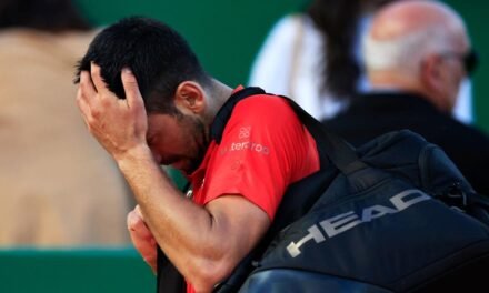 Djokovic, KO en Montecarlo