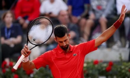 Djokovic recibe un golpe en la cabeza con una cantimplora de un aficionado en Roma