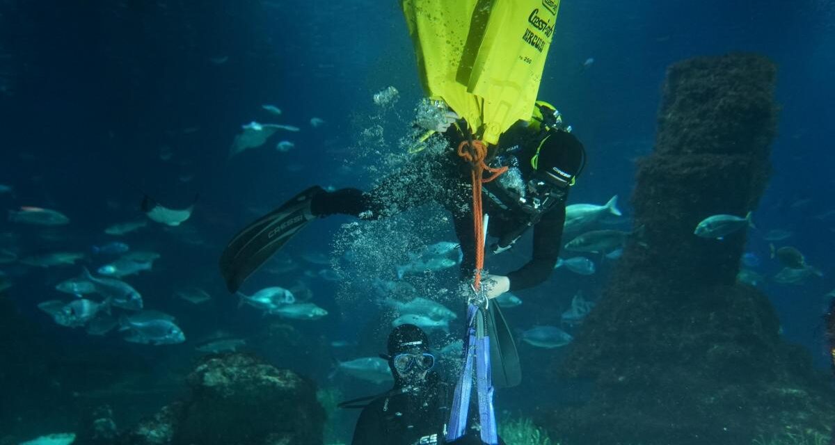 La Copa del América impulsa la restauración de la biodiversidad del Port Vell de Barcelona