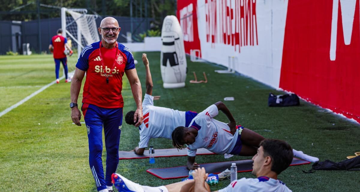 Luis de la Fuente: “Dani Olmo sufrió un fuerte golpe ante Serbia y no sabemos cómo estará”