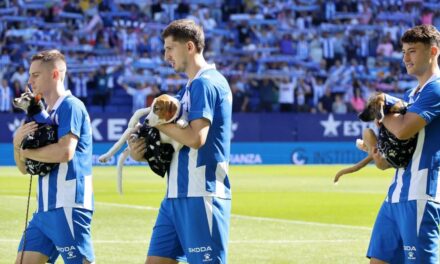 El bello gesto del Espanyol: los jugadores saltan al campo con 11 perros sin hogar