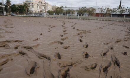 La DANA ha dejado afectados 75 campos de fútbol en Valencia