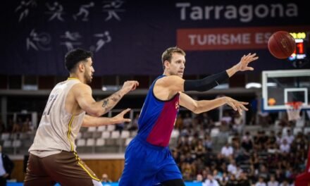 Vesely se pierde la Copa y estará de baja entre ocho y diez semanas
