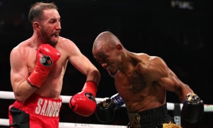 Sandor Martín pierde a los puntos su reto de ganar el título mundial del peso superligero