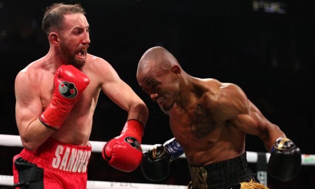 Sandor Martín pierde a los puntos su reto de ganar el título mundial del peso superligero