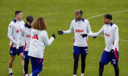 Holanda, el nuevo reto para la España de De la Fuente