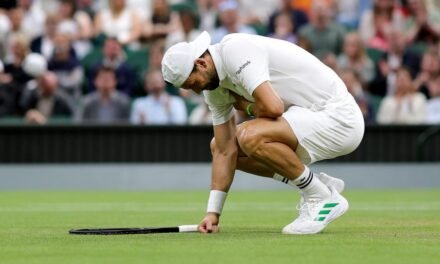 Una lesión de hombro aplaca la revuelta de Dimitrov ante Sinner