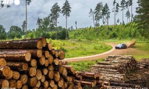 Tres espectadores mueren en Francia tras salirse un coche de la carretera en un rally