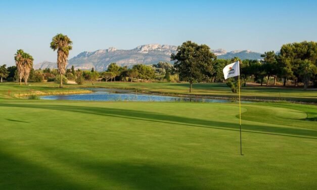 Una mosca ‘ayuda’ a un golfista a conseguir dos millones de dólares metiendo la bola en el hoyo