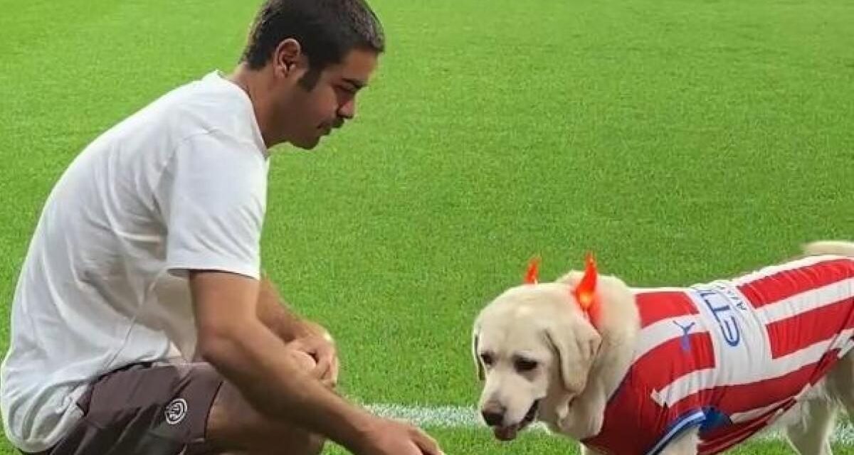 El tierno vídeo de Abdón Prats jugando con Canya, la perra oficial del Girona
